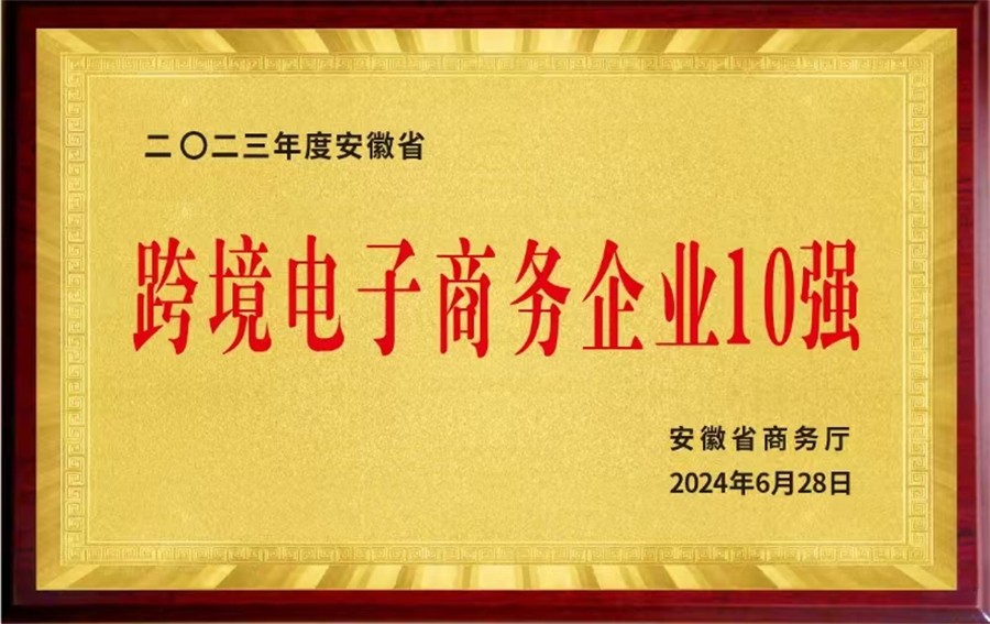 2024跨境电子商务企业十强